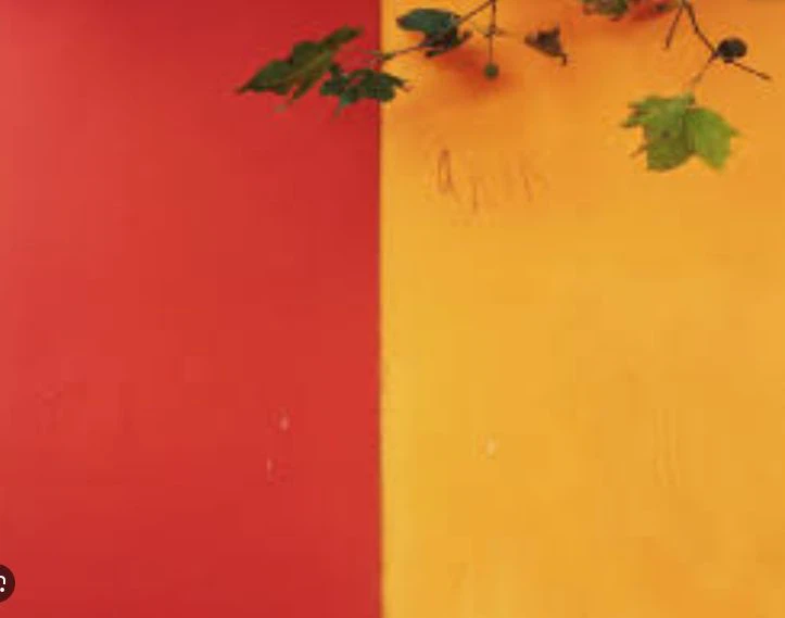 Water Based Latex Wall Paint